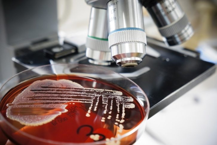 shutterstock_105764732resize